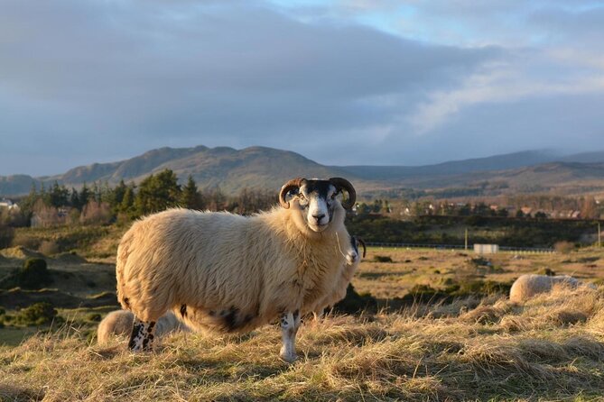 1 Day Castles, West Highlands and Loch Lomond Tour from Edinburgh - Doune Castle and the Outlander connection (plus Linlithgow backup)