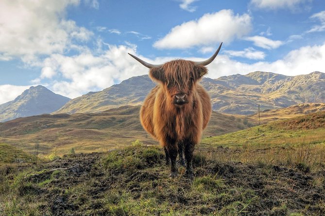Edinburgh: Eilean Donan, Loch Ness & Glenfinnan 2-Day Tour - Why this 2-day Highlands loop makes sense from Edinburgh